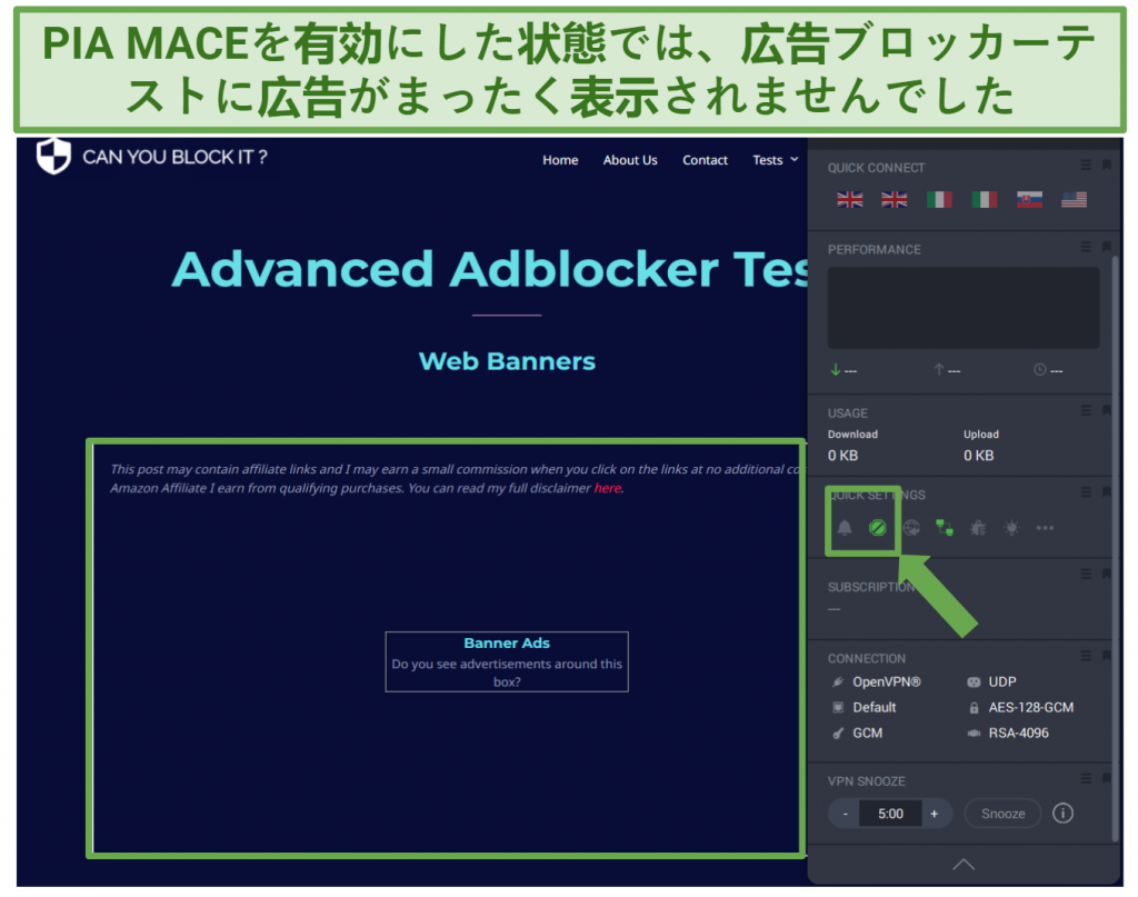 A screenshot of an advanced ad blocker test results showing the screen without ads when using PIA's MACE feature