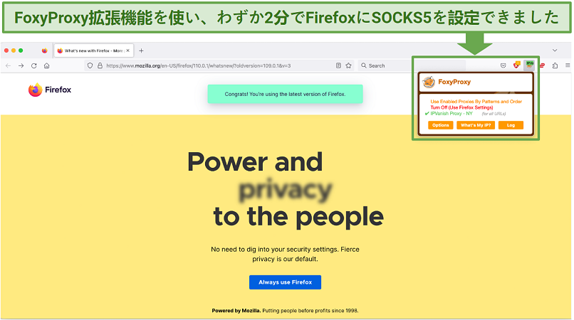 Screenshot showing a Firefox browser connected to a SOCKS5 proxy in New York