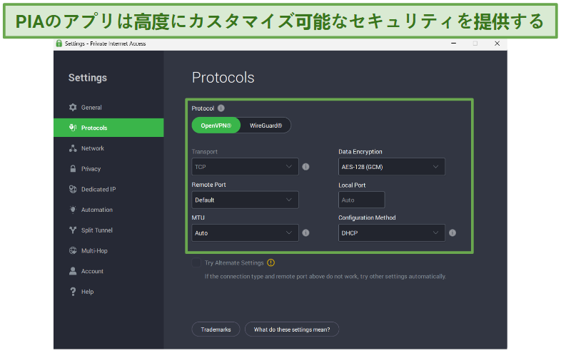 Screenshot of PIA's highly customizable security settings