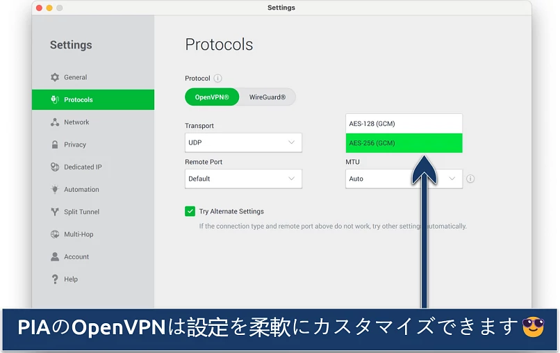 Screenshot showing the customization options on PIA's Settings menu
