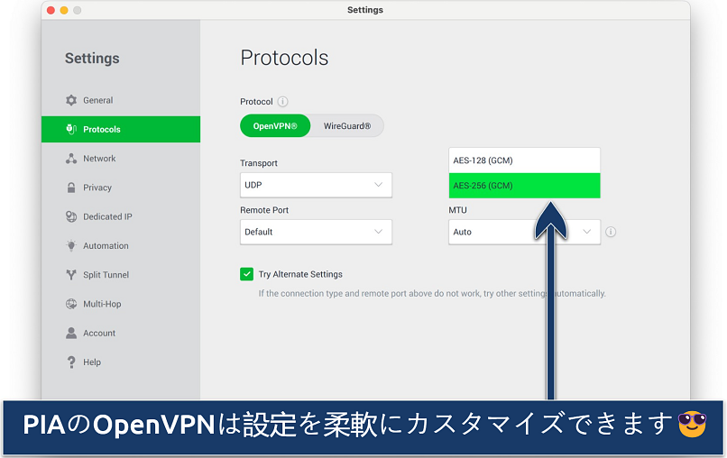 Screenshot showing the customization options on PIA's Settings menu