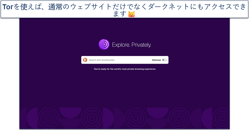 Screenshot of the Tor Browser homepage