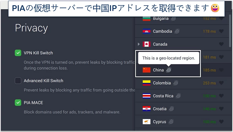 Screenshot of PIA's privacy settings and virtual servers in the app